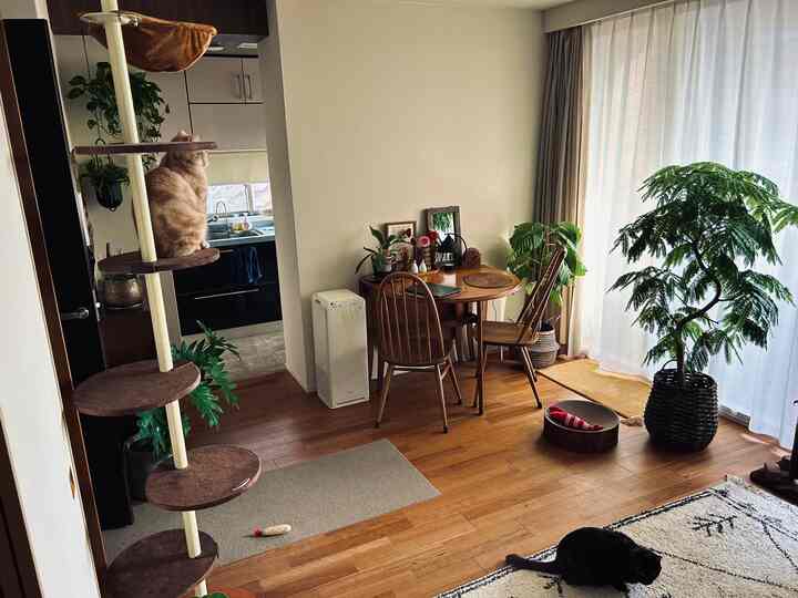 ブラウンの木目調と緑の植物が調和する二人用ダイニングスペース、キャットタワーと猫が温かみのあるナチュラルな雰囲気のインテリア