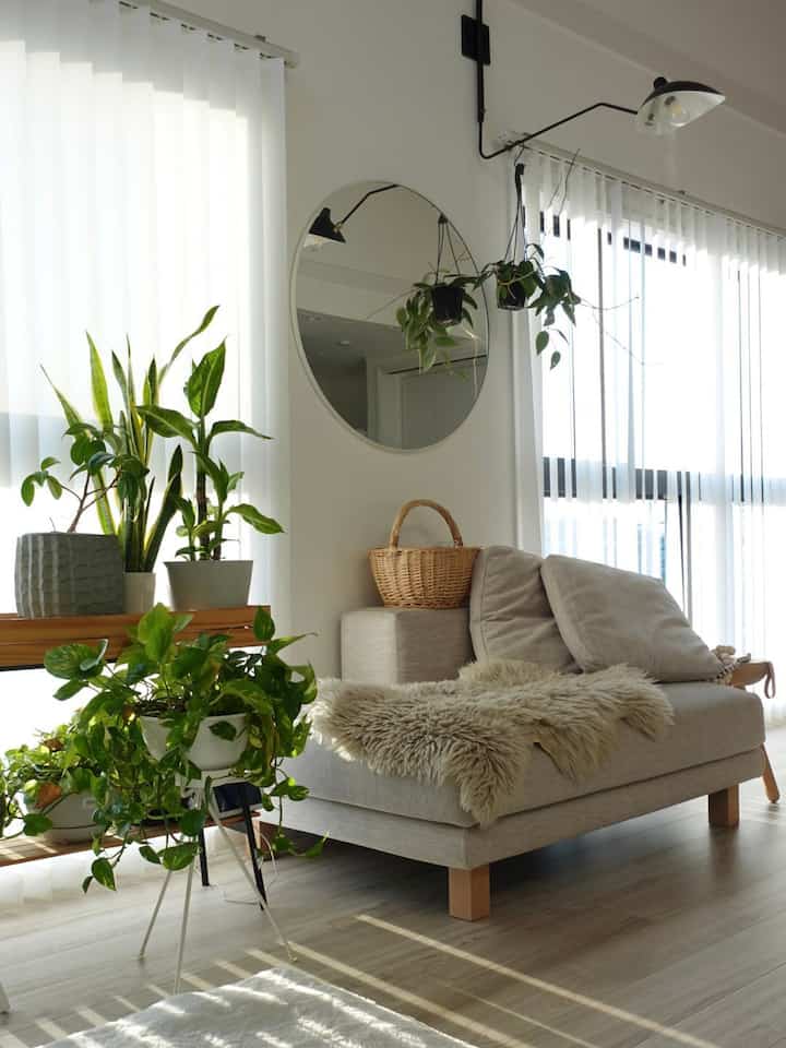 ノイエスのL字3人掛けカウチソファを２つに分けた片割れ🌿 #ノイエスソファ 