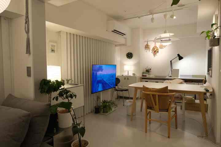 White and natural-toned living and dining area featuring a dining table, armchair, TV, and plants in a simple interior design
