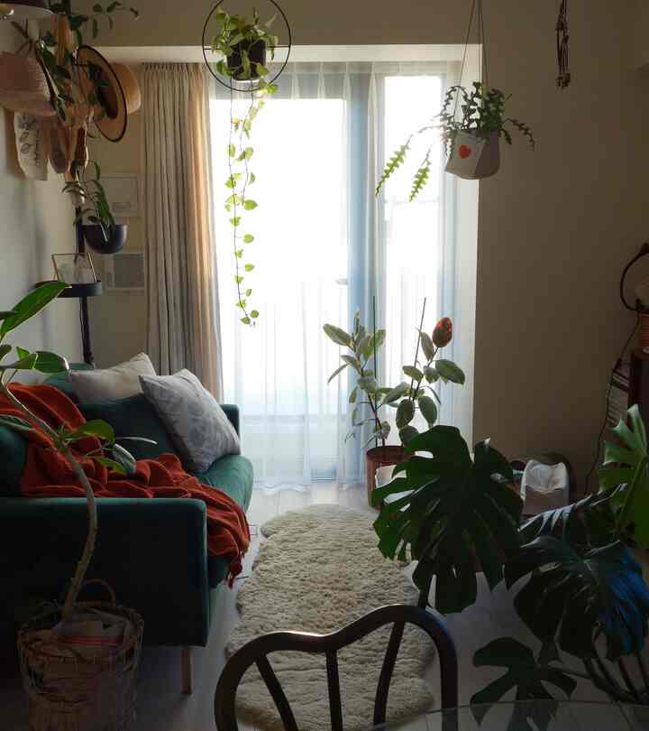 天気がいい日のリビング☀️🌿

#リビング #リビングインテリア #グリーンソファ #ドローアライン #drawaline #ムートンラグ 