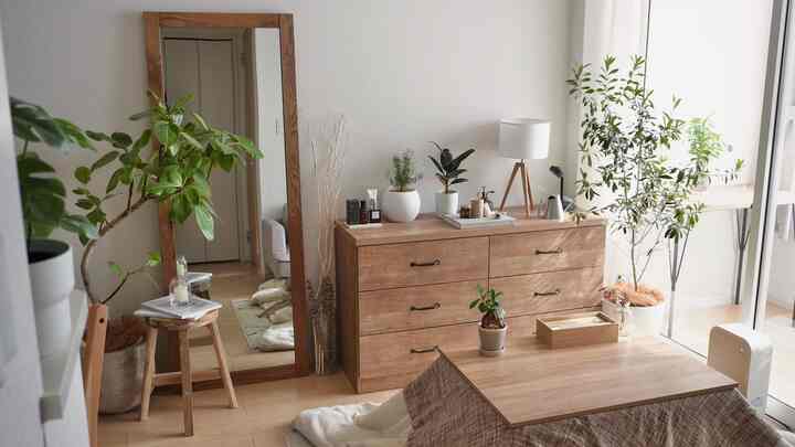 Wood tone natural living room featuring a storage chest, table lamp, and plants with a warm atmosphere