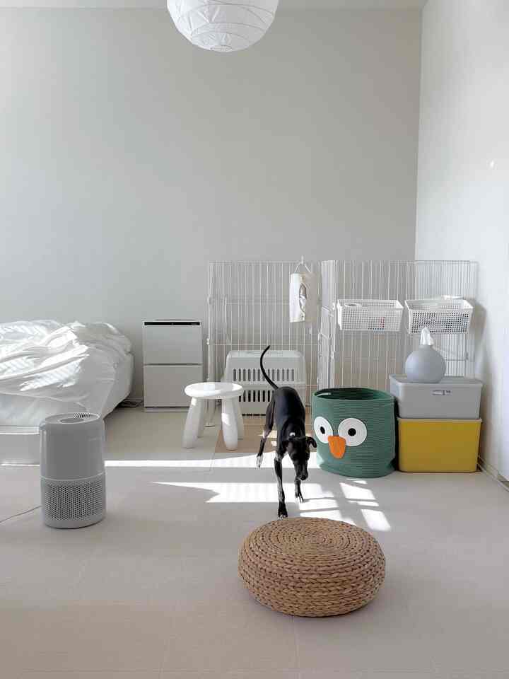 イタリアングレーハウンドという🦮が
最近お家にやってきました🏠✨

収納が赤ちゃんのいるお家と似てきたかも👶
おむつとかおもちゃとか物は増えるばかり><

上手く収納出来るように、他のお家を沢山見て、参考にさせて頂きました。

洗濯カゴは何でも放り込めるから取り敢えずお勧めです笑

#犬がいる暮らし #3人暮らし #2K #収納 