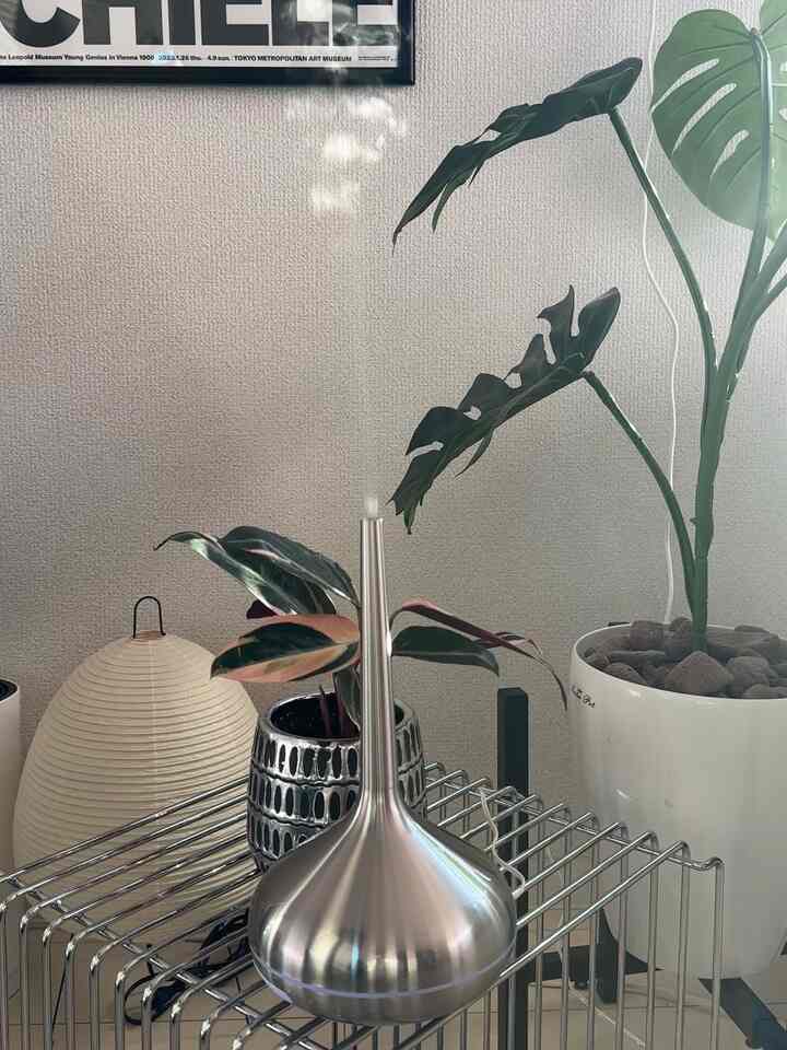 Modern natural interior space featuring a silver metallic diffuser on a shelf with white walls and plants
