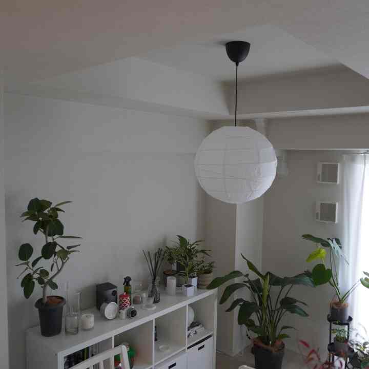 おはようございます☀
#IKEA
#インテリア
#観葉植物
#棚
#白インテリア
#賃貸インテリア