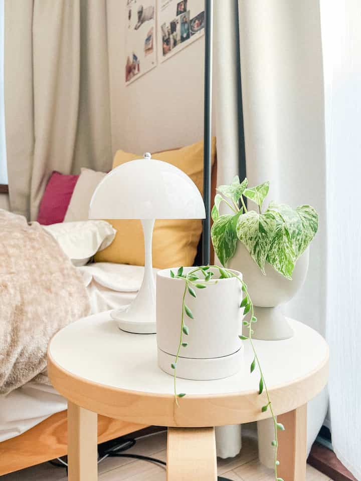 高さ・形の違う小物を集めるとかわいい🪴🤍💡

#北欧インテリア #観葉植物のある暮らし #暮らしを楽しむ #ポトス #グリーンネックレス