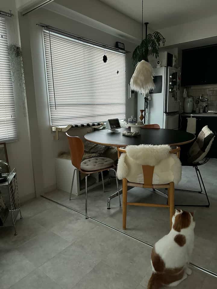 白とグレーのトーンの一人暮らし用ダイニングルーム、円形テーブルと4脚の異なる椅子が配置されたシンプルな空間で、床に猫が座っている