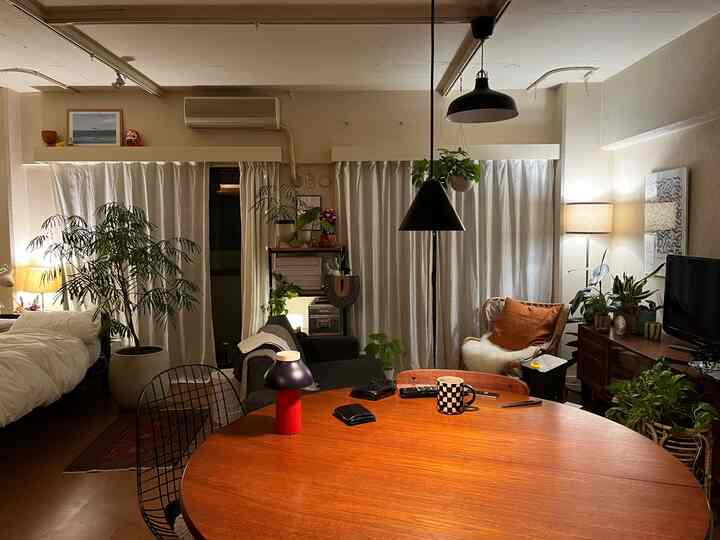 Natural color living room featuring wooden dining table, gray sofa, and various plants in a cozy atmosphere