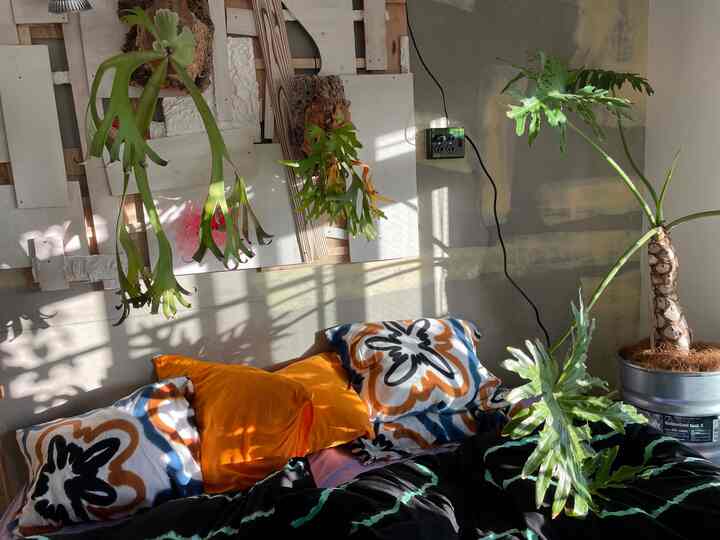 Natural toned bedroom featuring orange pillows and abundant green plants creating a cozy atmosphere