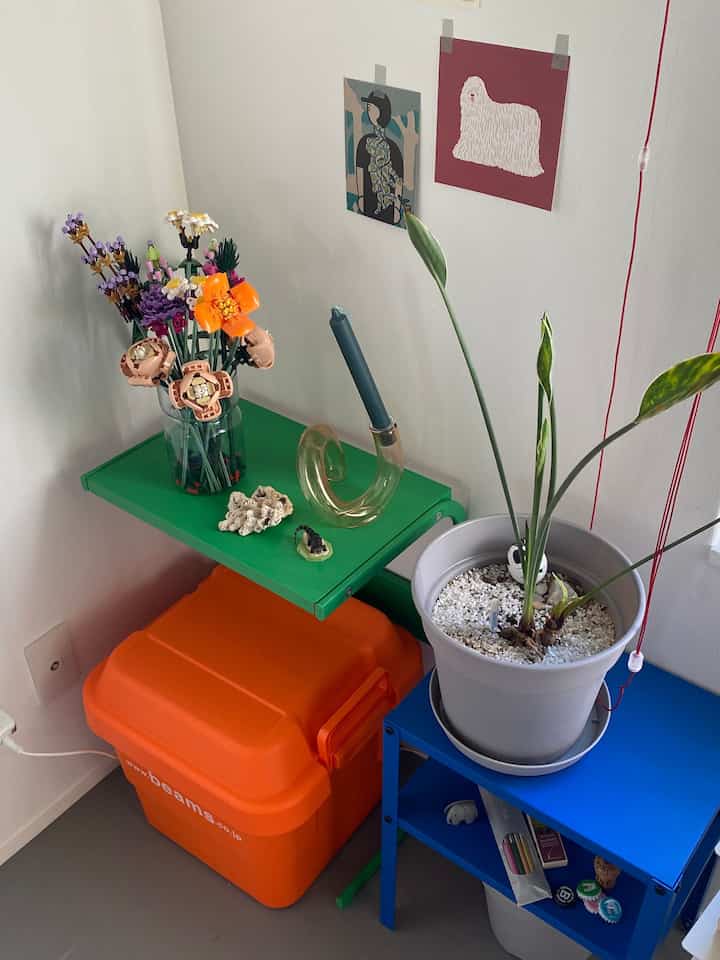 #BEAMS #LEGO #IKEA #ポストカード #キャンドル #観葉植物 #ストレリチア