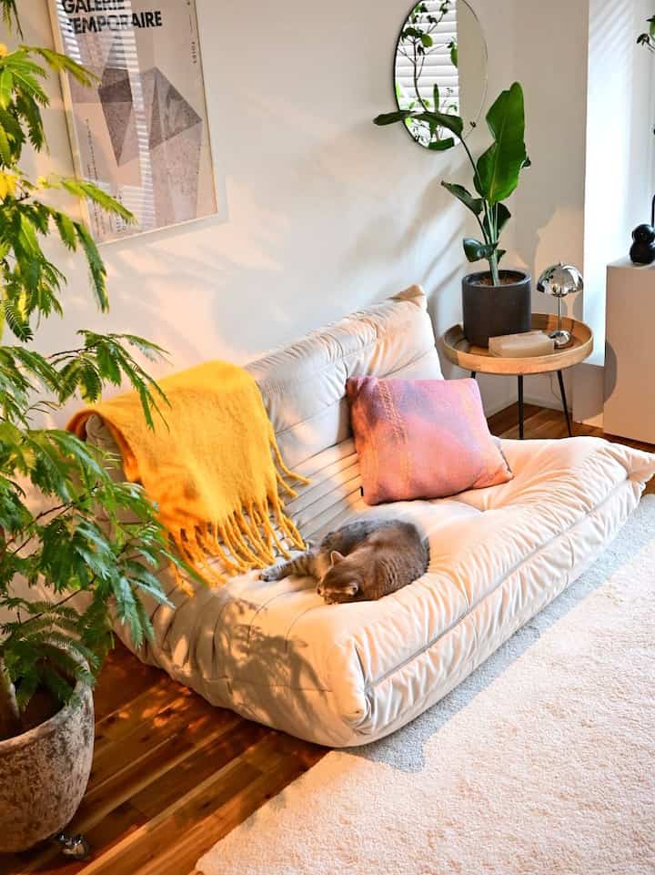 Bright cream sofa with yellow blanket and pink cushion in living room featuring a cat resting on the sofa, natural cozy interior