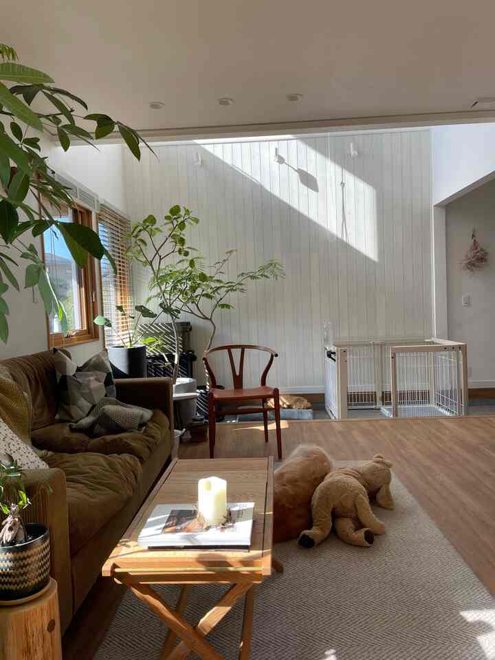 ナチュラルな木目調と植物が配された明るいリビング、茶色のソファと犬、コーヒーテーブルが置かれた居心地の良い空間