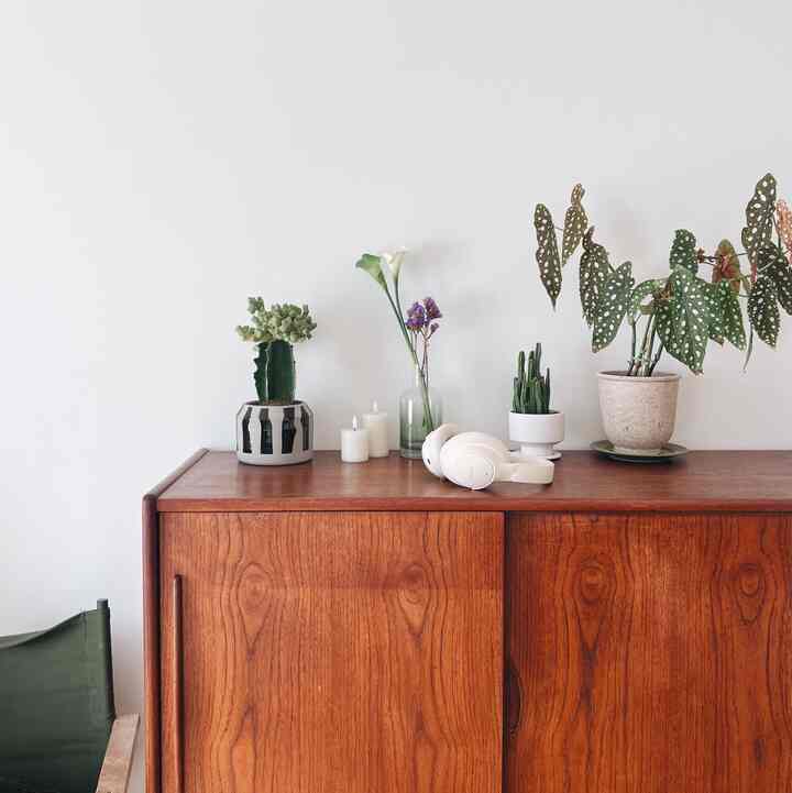 暖かい冬で嬉しい〜🪴🎧

#北欧 #北欧インテリア #ビンテージ #ビンテージ家具 #2人暮らし 