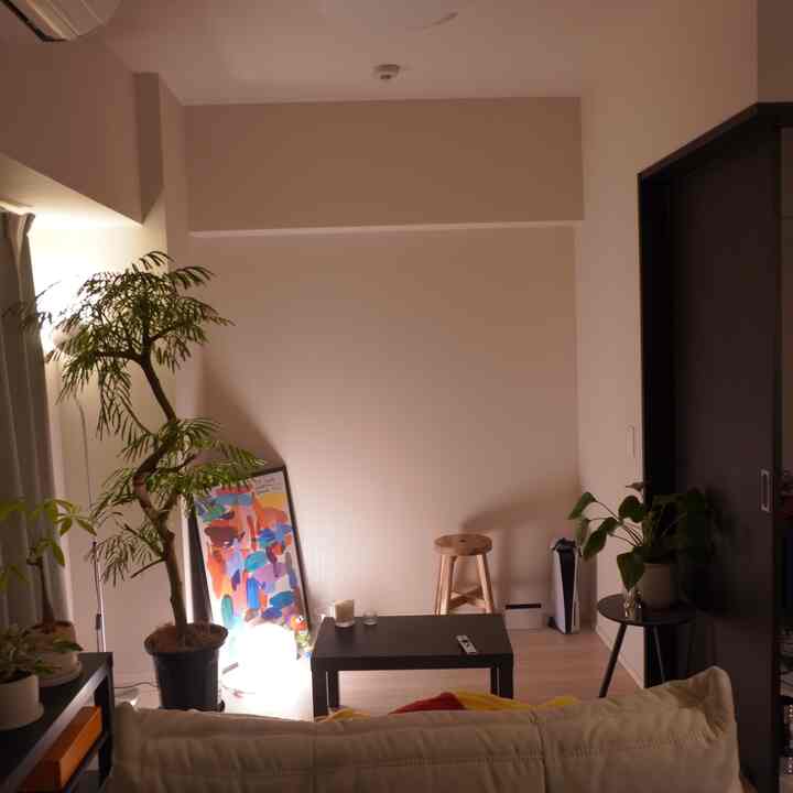 最近エバーフレッシュ夜になると閉じてくれるからよかった
#IKEA
#観葉植物
#トーゴ
#2人暮らし
#インテリア
#賃貸インテリア
#白インテリア