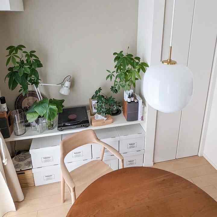 部屋とテーブルの色味の調和を考えていきたいです😂

#照明 #観葉植物 #観葉植物のある暮らし #ルイスポールセン #レコード #レコードのある暮らし #バンカーズボックス #アングルポイズ #マルニ木工 #ヒロシマ #カイクリスチャンセン #宮崎椅子製作所 #anglepoise #louispoulsen #hiroshima