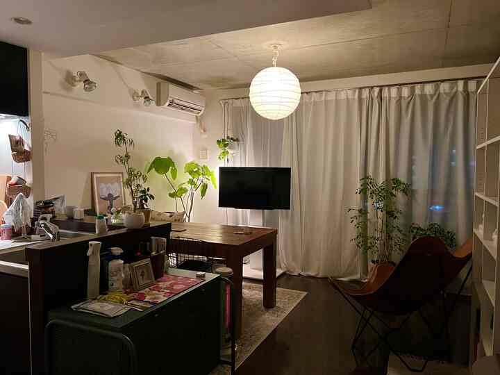 ナチュラルな色調のコンパクトなキッチン兼リビング、中央にダイニングテーブルとテレビが置かれ、多数の植物がさわやかな雰囲気を演出