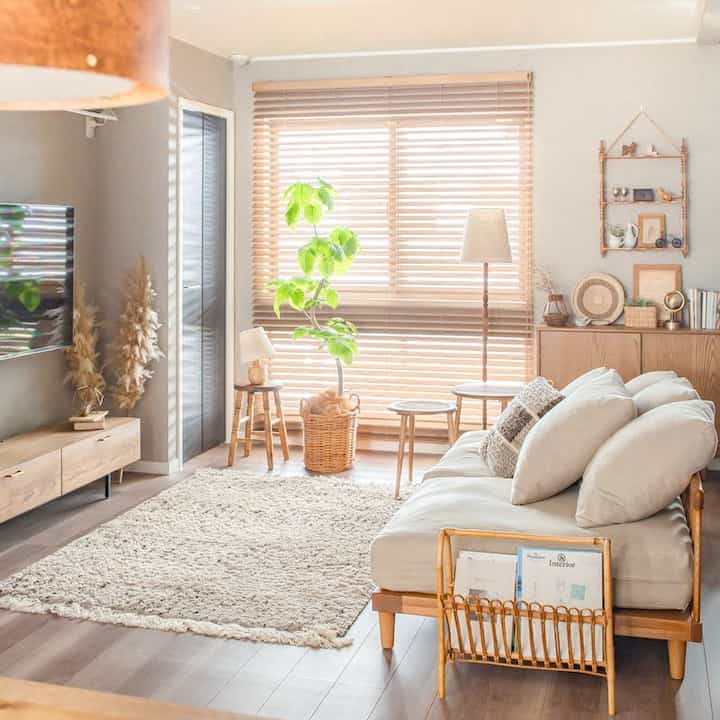 Wood tone natural living room featuring a sofa and rug, with cozy and bright atmosphere