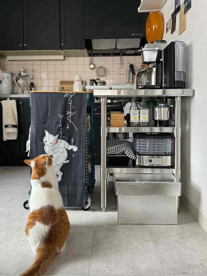 ブラックとステンレスの色調のキッチン、猫とキッチンワゴンが配置されたモダンで清潔感のあるインテリア