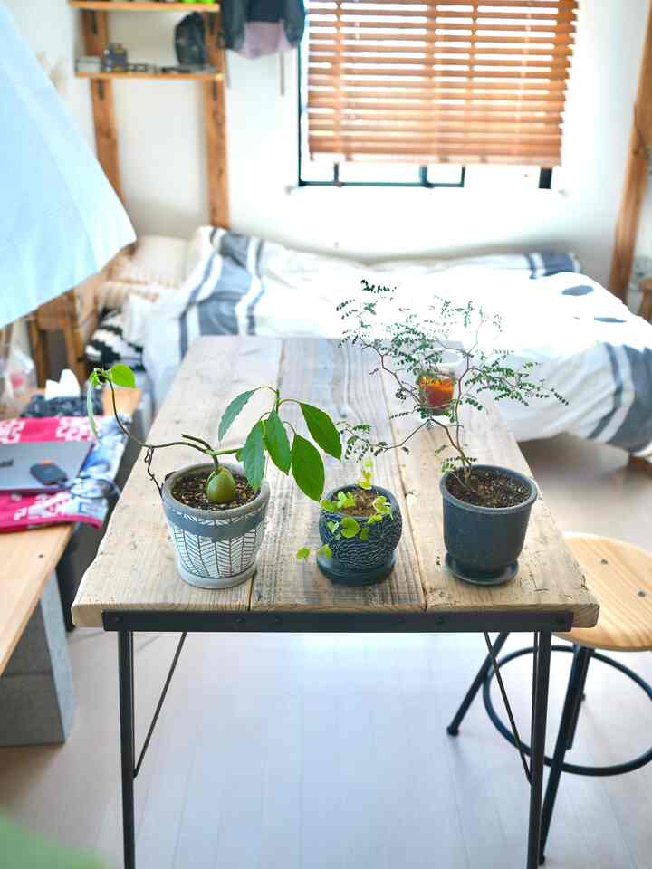Natural-toned studio bedroom featuring a DIY table with iron legs and reclaimed wood top decorated with small potted plants in a cozy setting
