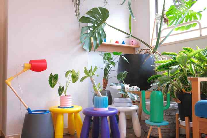 #IKEA #plants #green #houseplants