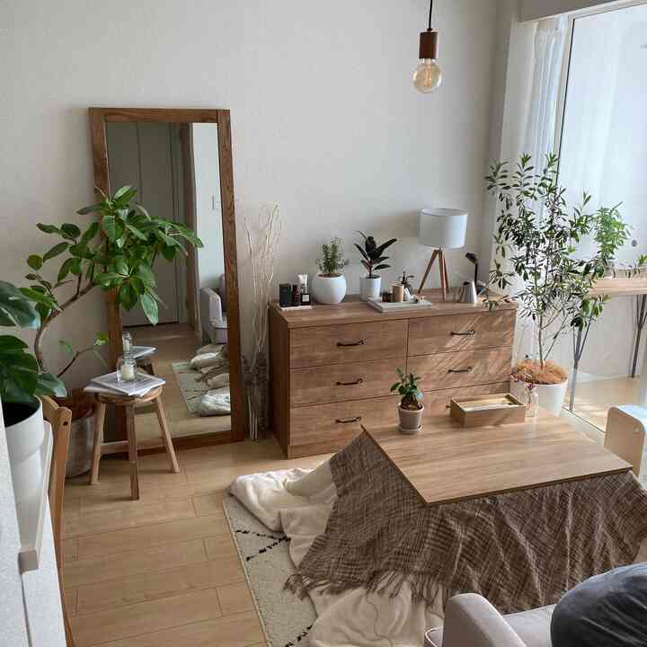 Ruang tamu di hari yang cerah. Tanamannya juga senang 🪴
#Interior Alami #観葉植物 #北欧インテリア #こたつ