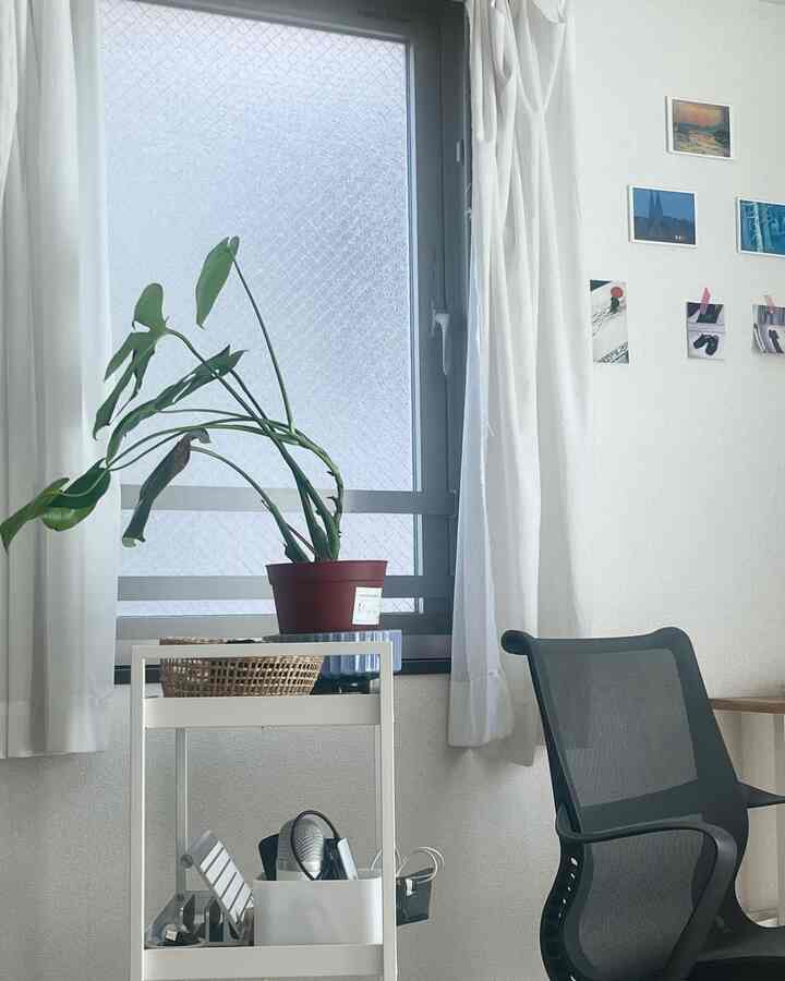 #ワークスペース #観葉植物のある生活
ベッドから見えていた風景
