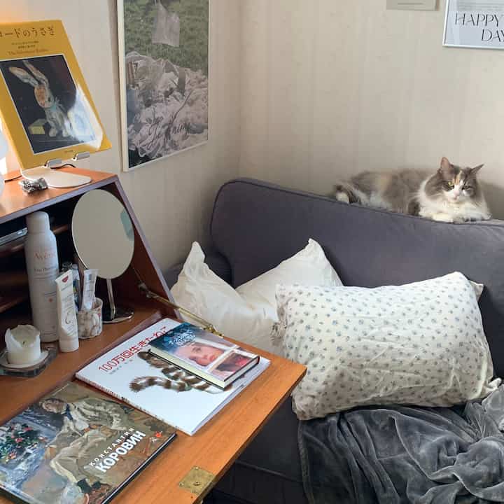 ダークグレーのソファと枕、化粧品や本が置かれたデスクがある、猫がくつろぐ居心地の良いリビング空間。