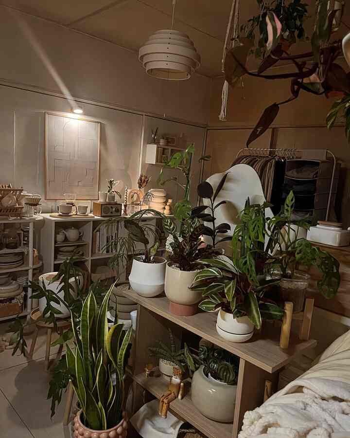 Warm wood tones and natural colors define this living room featuring abundant plants, picture frames, and soft lighting for a cozy atmosphere