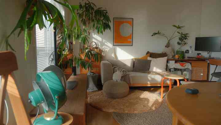 Beige and natural toned living room featuring a sofa, stools, and leafy plants with a cozy and organic atmosphere