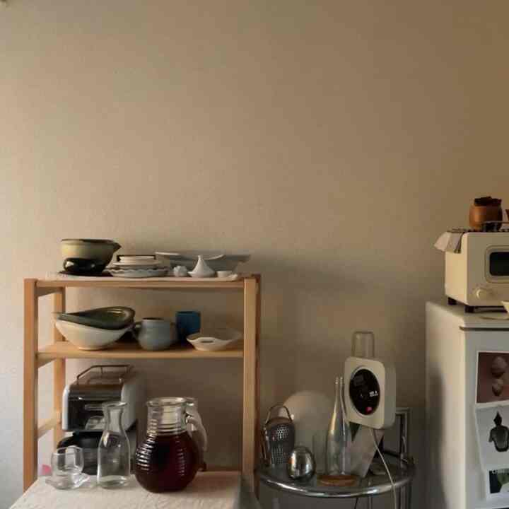 Warm beige-tone small kitchen featuring wooden shelves with neatly arranged vintage tableware for a natural look