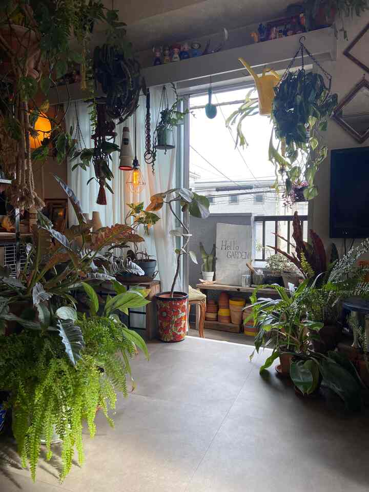 As the weather gets warmer, we will be spending more time with the balcony open.

Build a simple shelf, lay out the floor, place greenery...

This is recommended as it will add depth to the room.
#Midcentury #昭和レトロ #ヴィンテージ #観葉植物 #グリーンインテリア #ベランダ #リビング