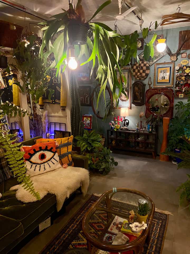 緑の植物とミッドセンチュリーモダンのソファが配置された、雰囲気のあるヴィンテージスタイルのリビング