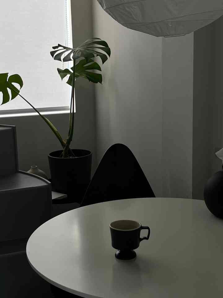 白いラウンドテーブルにドロップチェアとアントチェアを合わせています。

曲線が多いアイテムを使うことで柔らかい印象になっている…気がします。笑

#ラウンドテーブル #FRITZHANSEN 