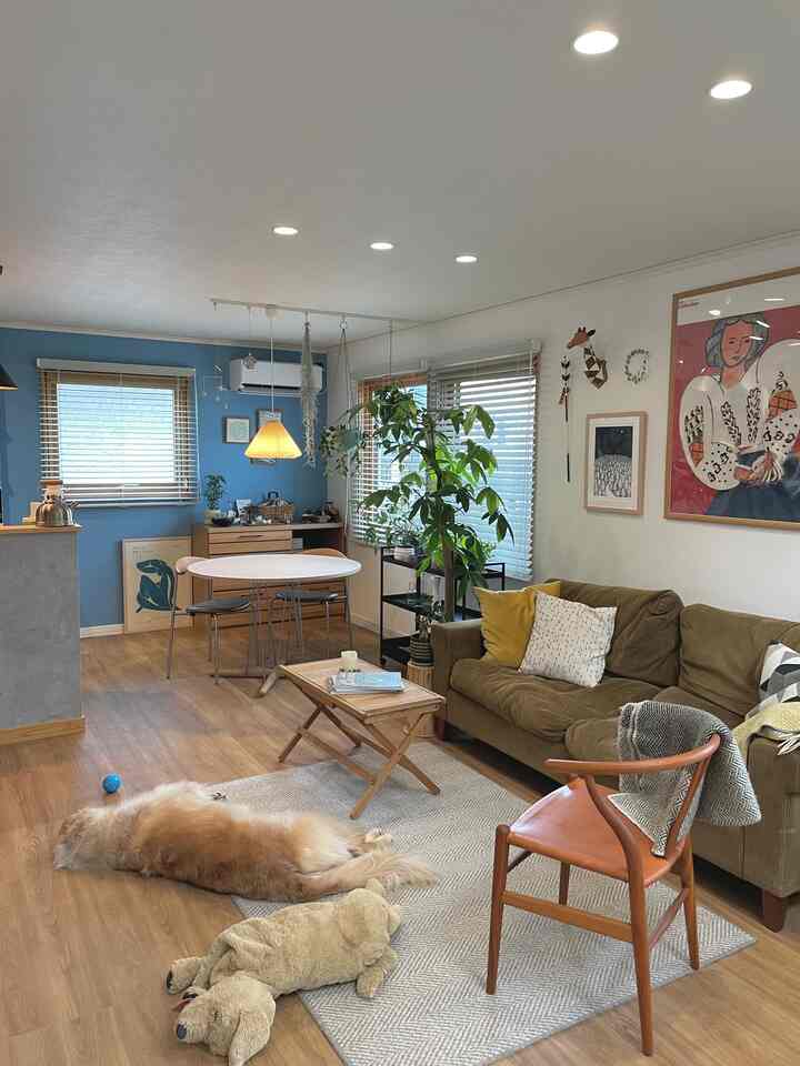 ブルーのアクセントウォールとナチュラルな木製家具が配置されたリビングとダイニング、犬が床でくつろぐ雰囲気のあるインテリア