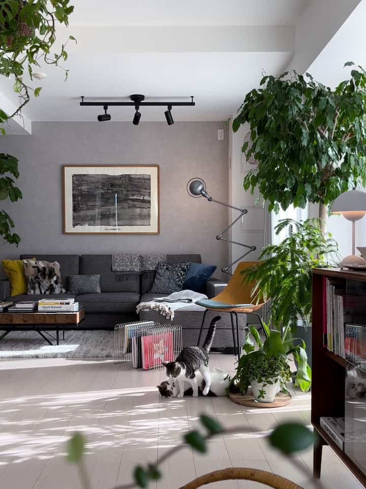 猫さんや、
今日も今日とて尊いのう。

#猫がいる暮らし #猫と家 #猫とインテリア #猫と暮らす #猫と暮らす家 #リビングインテリア #グリーンインテリア #植物のある暮らし #花と緑のある暮らし #インドアグリーン #ボタニカルライフ #観葉植物 #観葉植物のある暮らし #greeninterior #botanicalinterior #cozyhome #cozy #cozyinterior #apartment apartmentinterior

