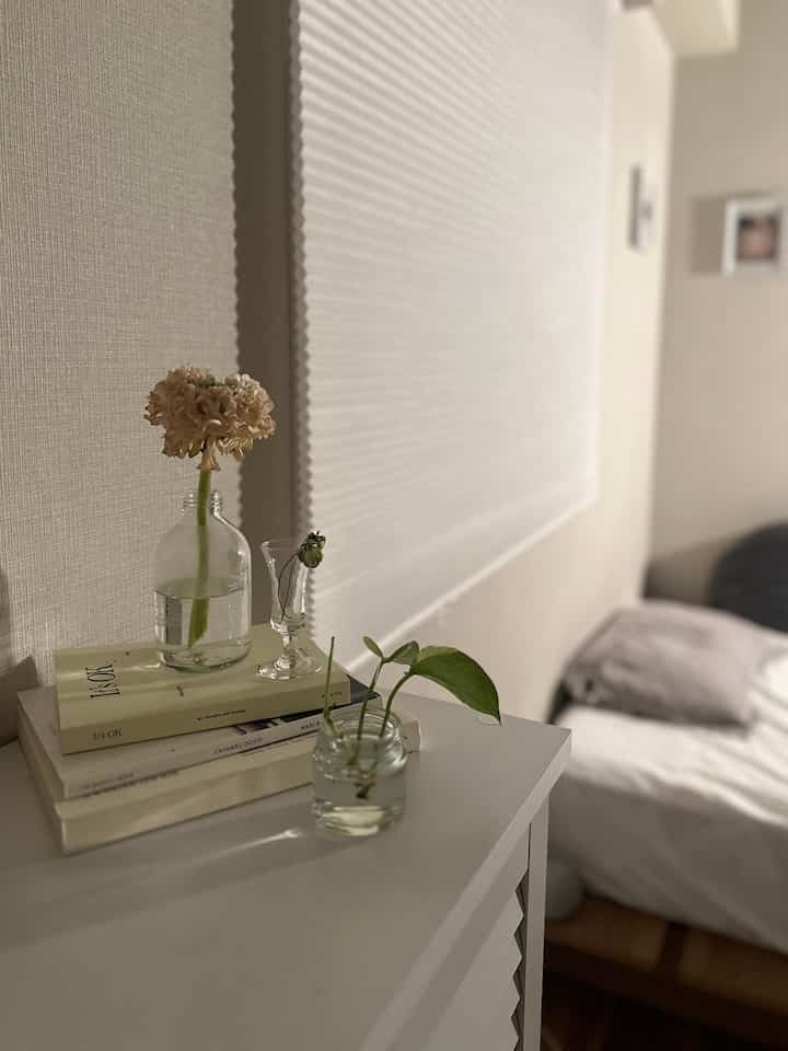 まだまだ寒い日が続いてますが、
花だけは季節を少し先取り。
春が待ち遠しい...🌸

#ラナンキュラス