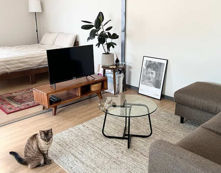 Natural wood tones and simple living room featuring a brown sofa, glass coffee table, and a cat in a cozy space