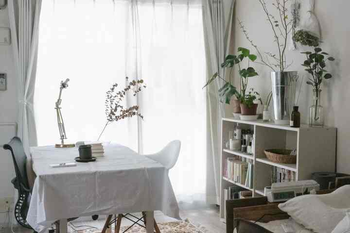 白とベージュのトーンのワンルーム、ダイニングテーブルと本棚、アームチェアと複数の植物が置かれたナチュラルで落ち着いたインテリア