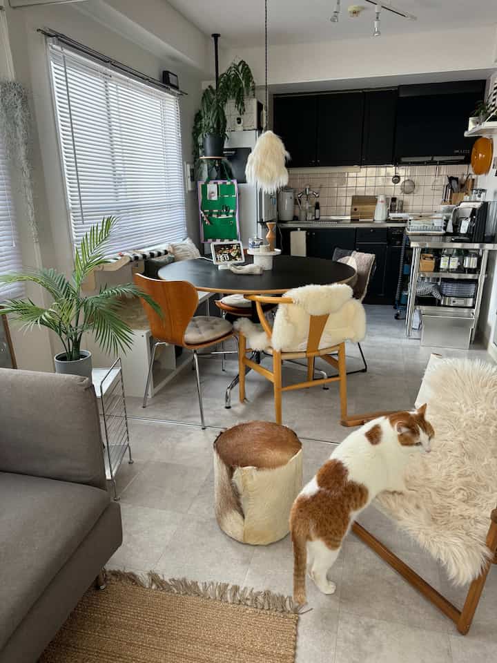 A neutral and wood-toned 1LDK dining room featuring a cat with simple and modern interior design