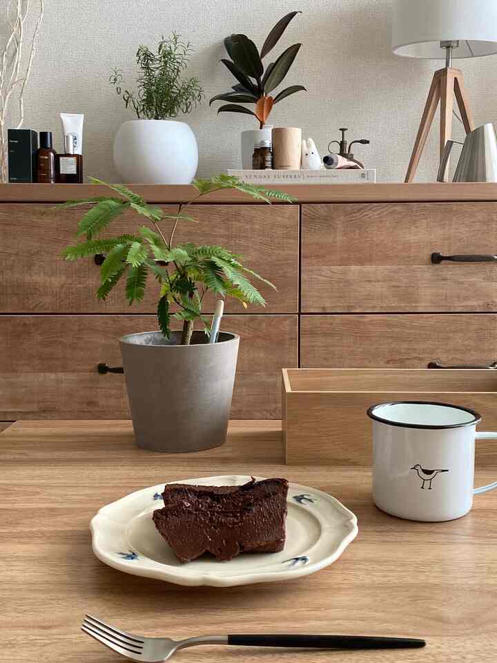 テリーヌショコラを楽しむ休日
そして、やっぱり木目調インテリアと観葉植物の組み合わせが癒される。

#観葉植物 #木製インテリア #ナチュラルインテリア