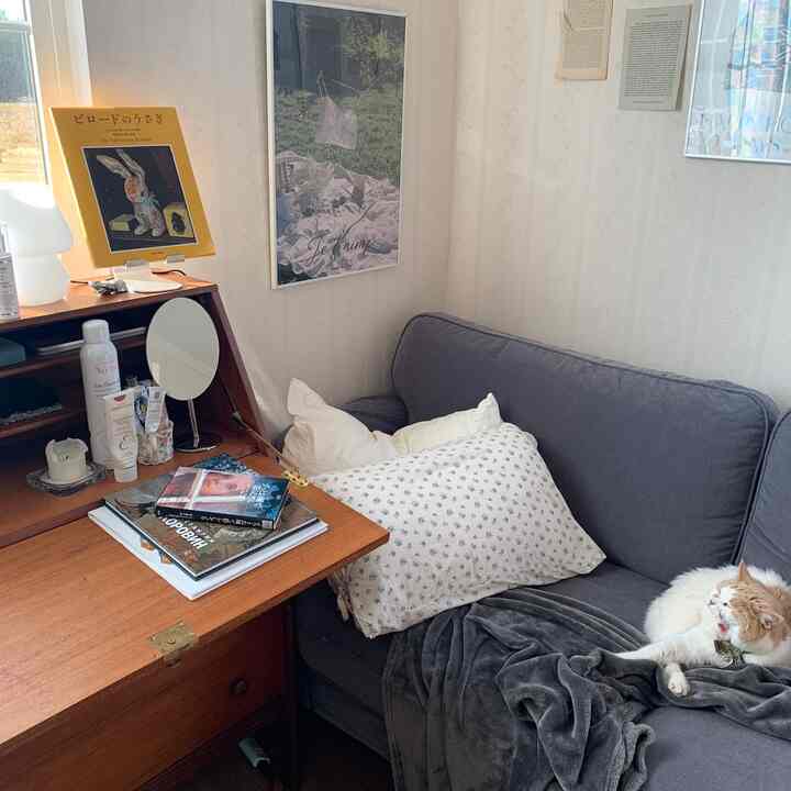 Cozy space with gray sofa and wooden desk, a cat resting comfortably on a blanket, posters adorning the walls in a bedroom-like setting