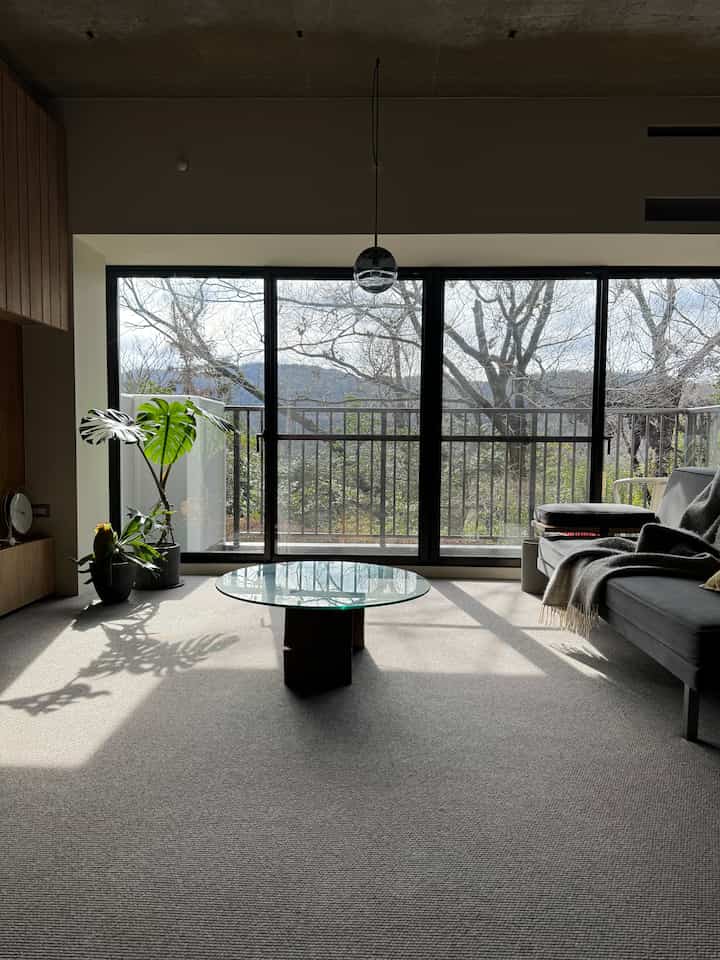 Gray-toned living room featuring large glass doors, plants, gray sofa, and carpet with a modern, natural atmosphere