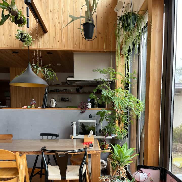 Natural wood-toned dining room featuring a large dining table and numerous plants creating a cozy atmosphere