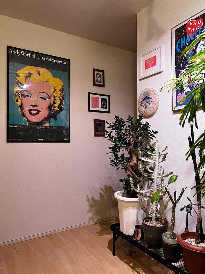 Natural color-tone entrance space featuring green plants and picture frames with a warm, cozy atmosphere