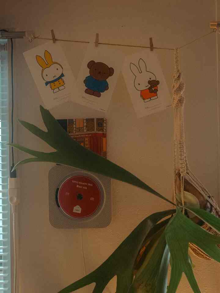 彼女(27歳)が塗り絵買いました。

#ミッフィー
#うさぎ
#ディスプレイ
#壁面