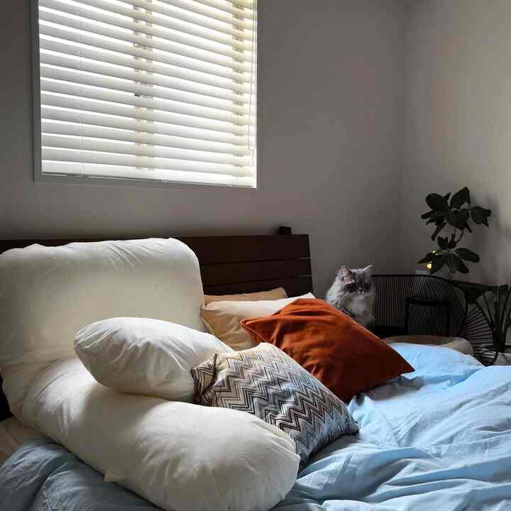 A cozy bedroom in white and brown tones featuring soft cushions and fluffy bedding with a cat sitting on a chair