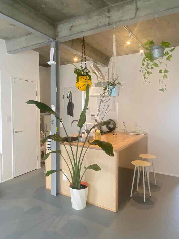 Natural color and white kitchen featuring a kitchen island and plants in a clean, open space