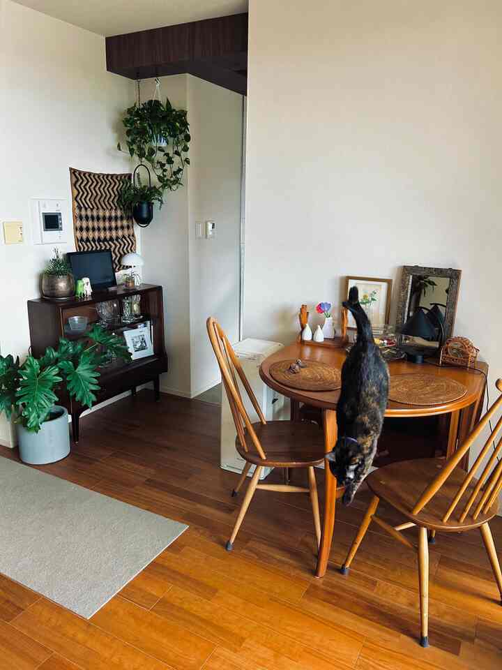 ナチュラルな木目調と観葉植物が配置されたダイニング、テーブルの上を歩く猫がいる雰囲気のある空間