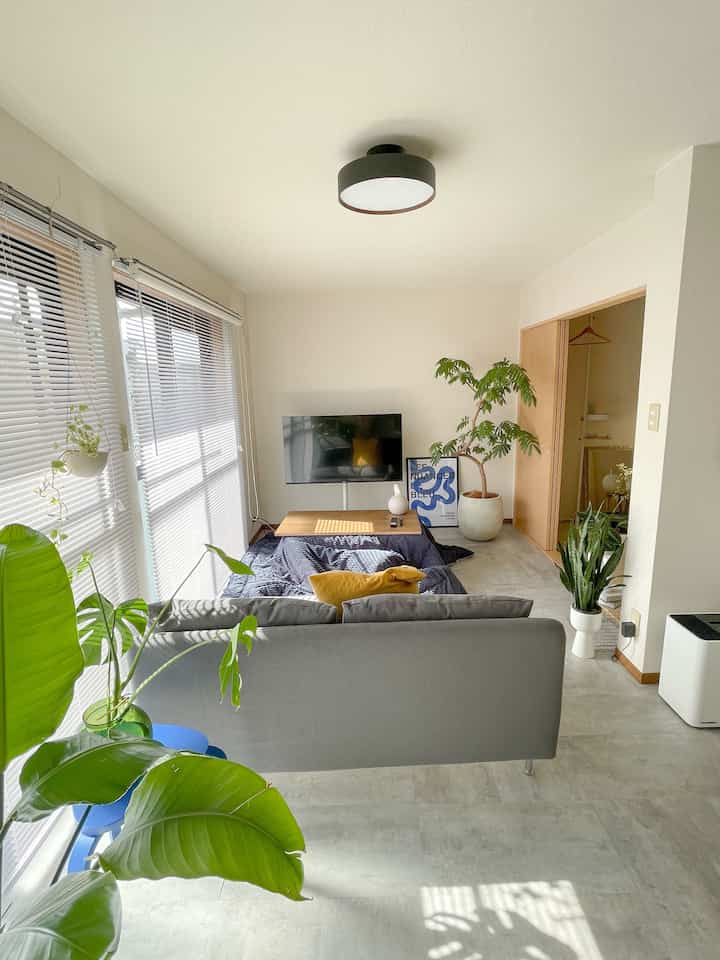 Bright natural-toned living room with white walls and ceiling, gray sofa, wood low table, and multiple green plants arranged for a cozy space