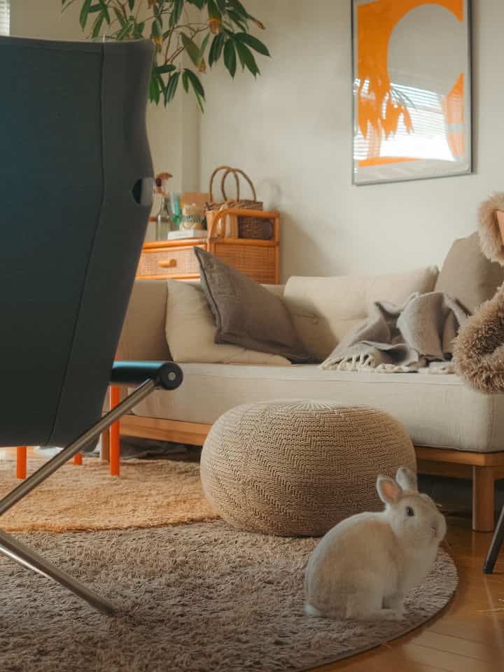 ベージュのナチュラルな色調の1LDKリビング、ソファとニットスツール、かわいいウサギがいる雰囲気のあるインテリア