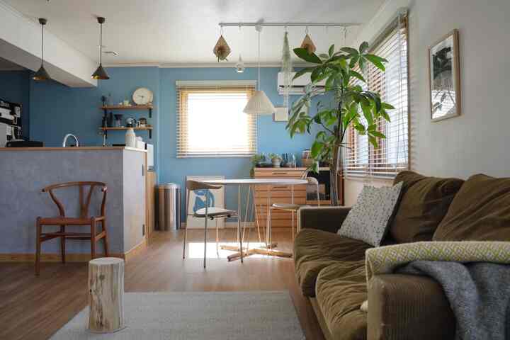Natural modern two-person living and dining area featuring blue walls, wooden furniture, sofa, and pendant lighting with plants